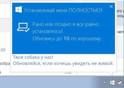Windows 10