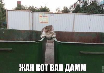 Жан Кот Вам Дамм